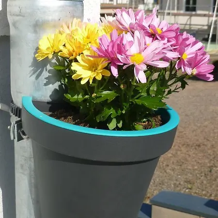 Susanne Frühstückspension *