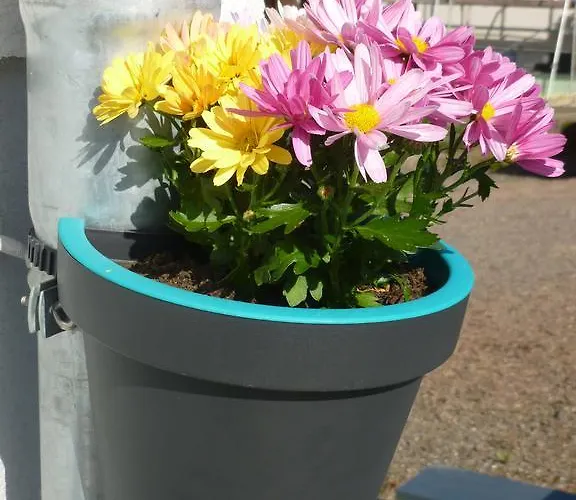 Susanne 住宿加早餐酒店 3*