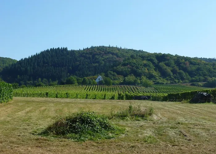 Susanne 住宿加早餐酒店