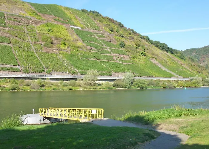 Susanne 布鲁蒂凡科