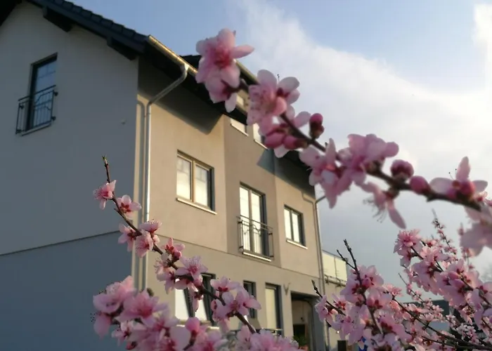 Susanne 布鲁蒂凡科